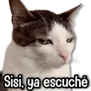 tray-icon