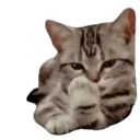 tray-icon