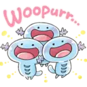 Woopurn DDD
