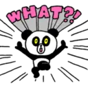 WHAT?!