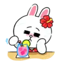 Brown & Cony in Love 17