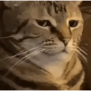 tray-icon