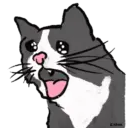 tray-icon