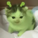 tray-icon