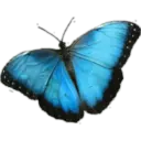 tray-icon